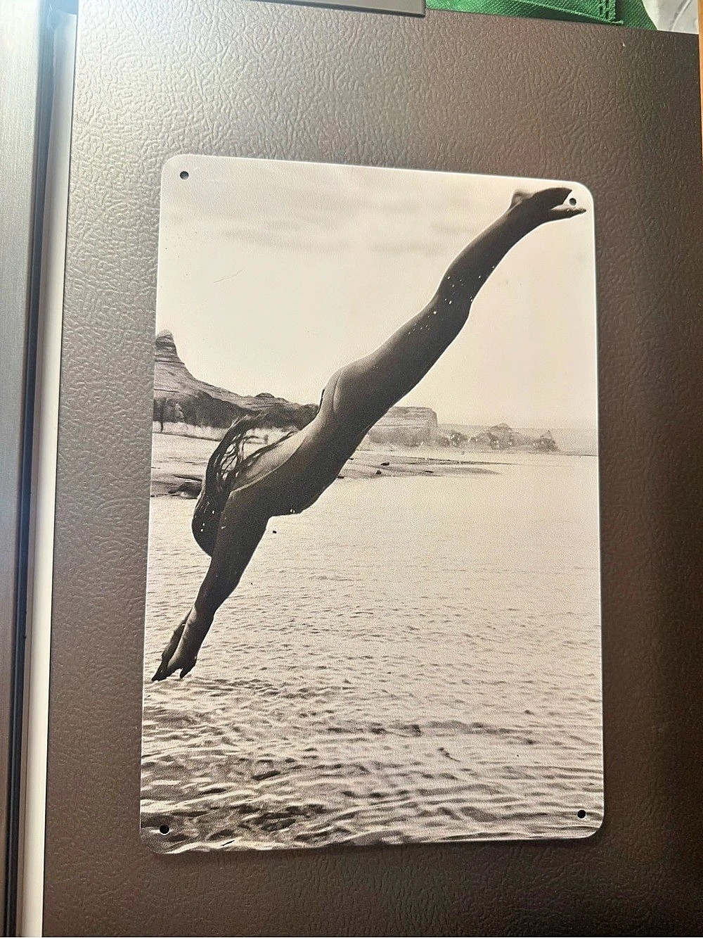Vintage-Style Diver Wall Art in Black & White
